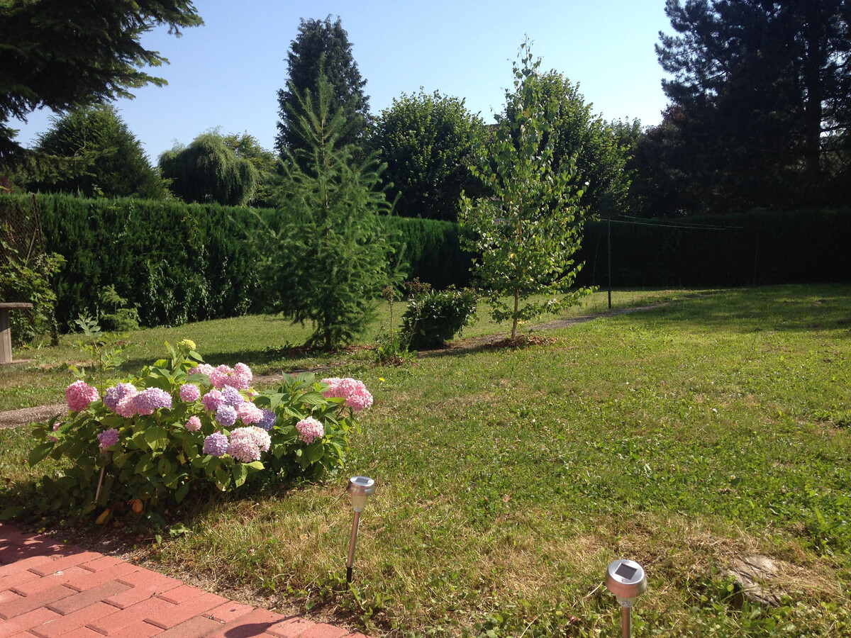 Gîte contemporain avec jardin 800m², à 200m de la Moselle - Photo 5