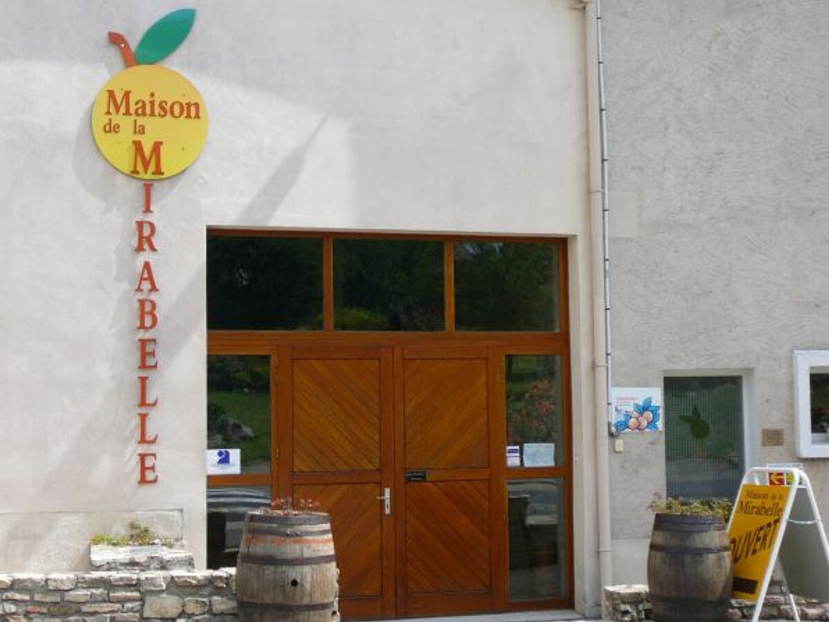 Gîte XIXe siècle en Lorraine, terrasse et barbecue - Photo 8