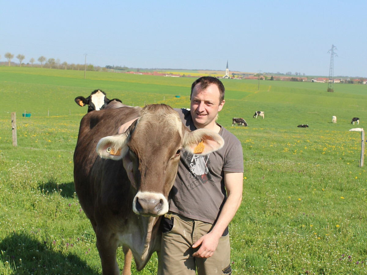 Gîte 6 pers. à la ferme près de Pont-à-Mousson - Photo 6