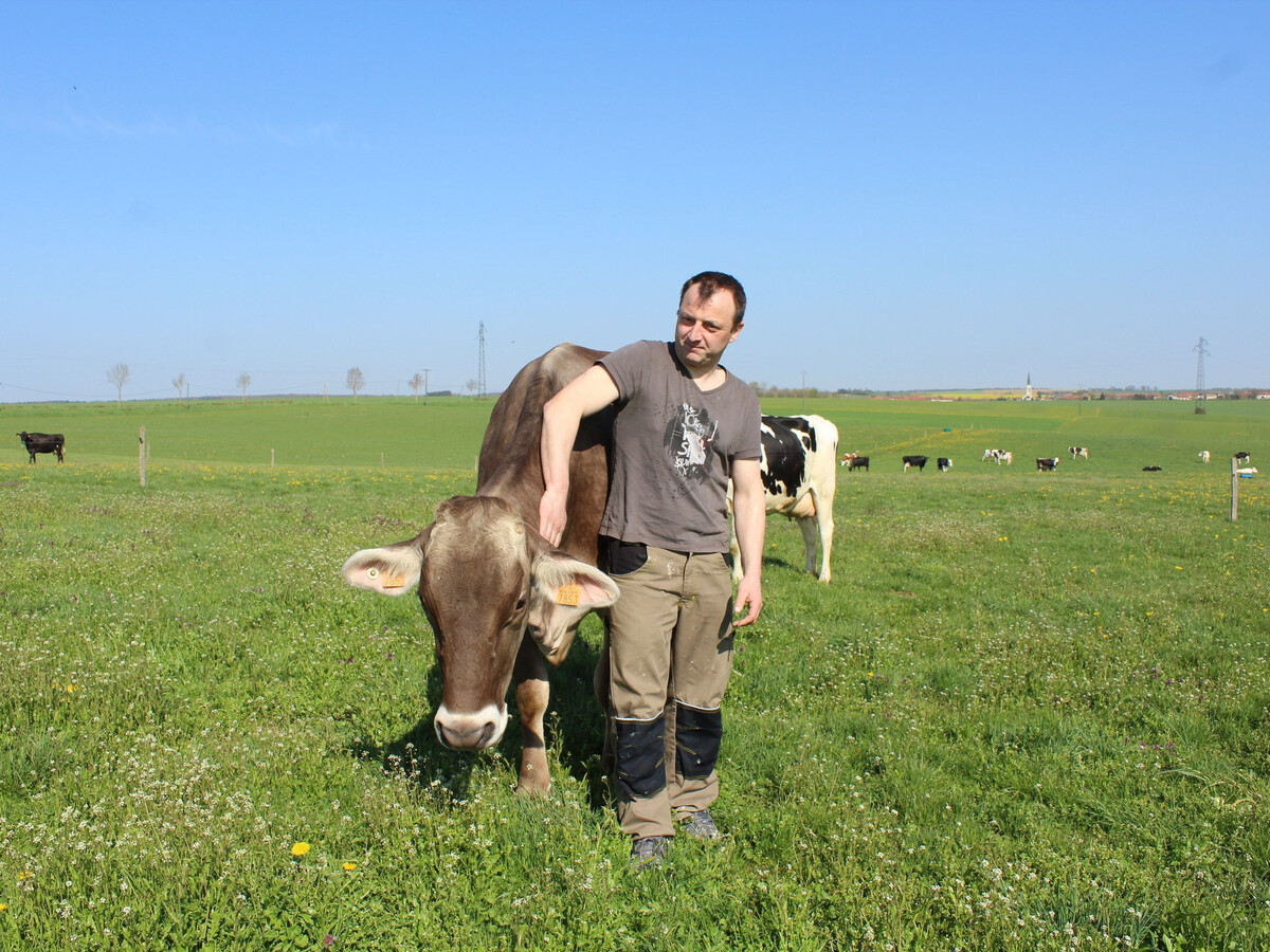 Gîte 6 pers. à la ferme près de Pont-à-Mousson - Photo 20