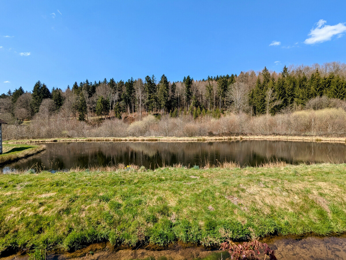 Gîte 5 chambres pour 13 pers, nature et ski à Bellefontaine - Photo 33