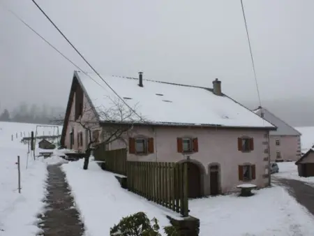 Gîte paisible à 650m d'alt., nature, cheminée, 3 ch. près de Remiremont & Plombières, terrasse, grand terrain - Photo 20