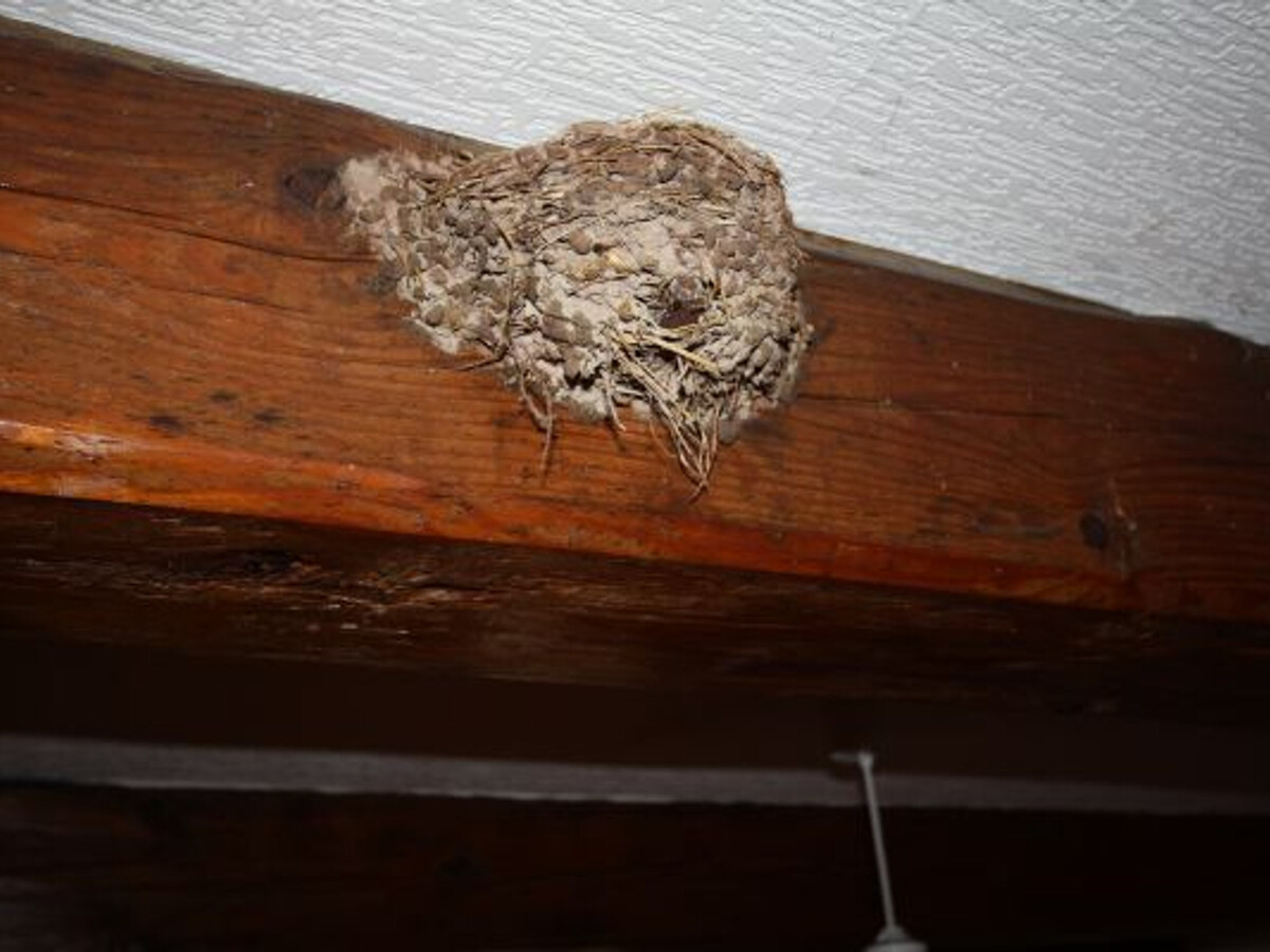 Gîte 6 pers en ancienne ferme avec salle de jeux - Photo 11