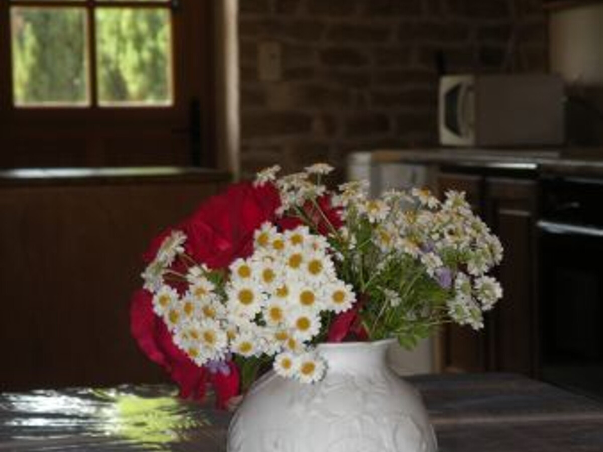 Gîte 157 m² rénové, terrain clos à Dommartin-aux-Bois - Photo 7