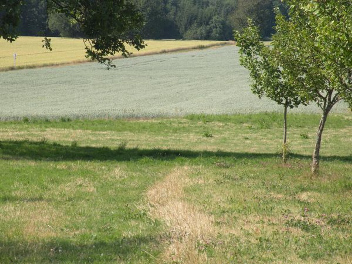 Gîte 157 m² rénové, terrain clos à Dommartin-aux-Bois - Photo 23