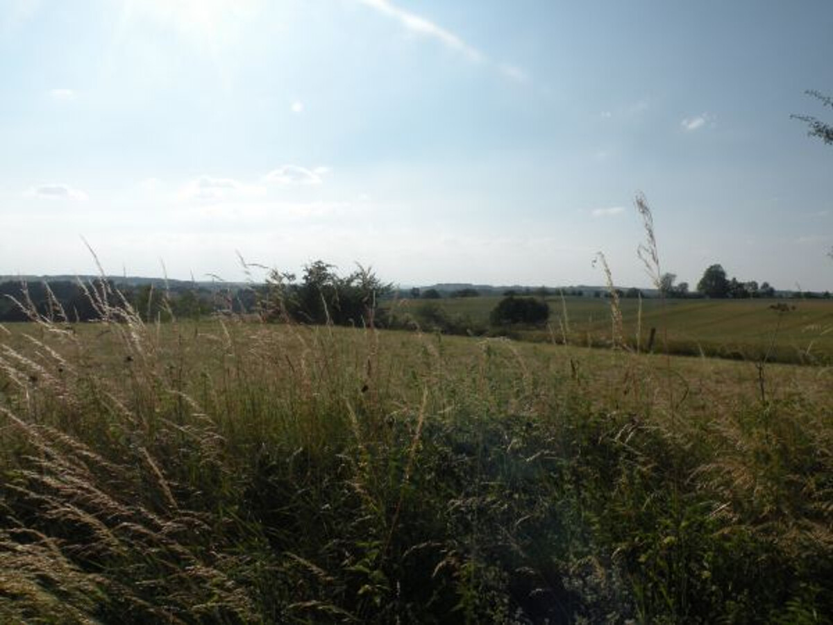 Gîte 157 m² rénové, terrain clos à Dommartin-aux-Bois - Photo 26