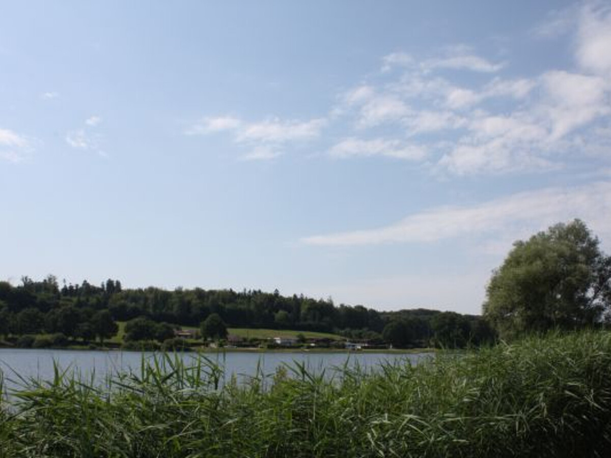 Gîte 157 m² rénové, terrain clos à Dommartin-aux-Bois - Photo 27