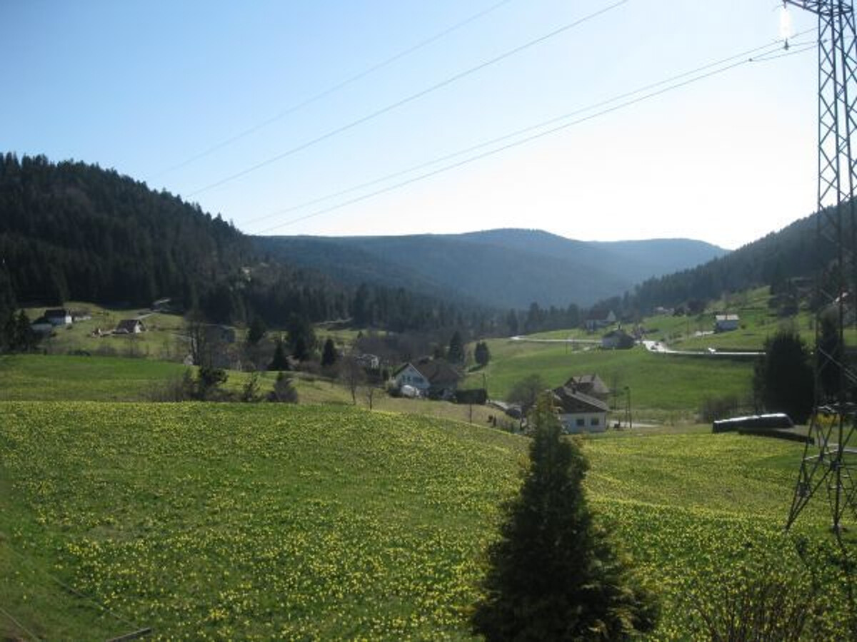 Gîte ferme rénovée Gérardmer, 4 pers, cheminée - Photo 21