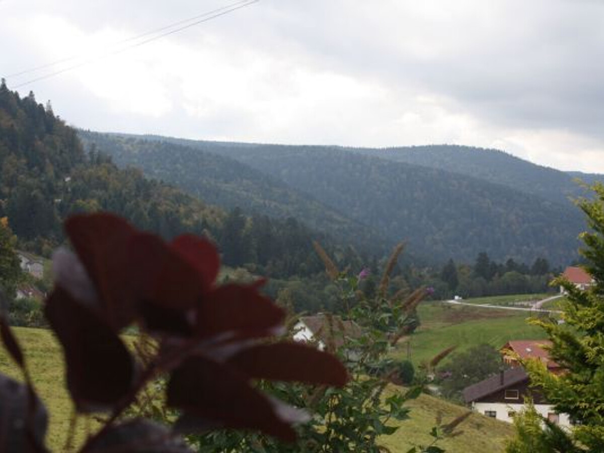 Gîte ferme rénovée Gérardmer, 4 pers, cheminée - Photo 23