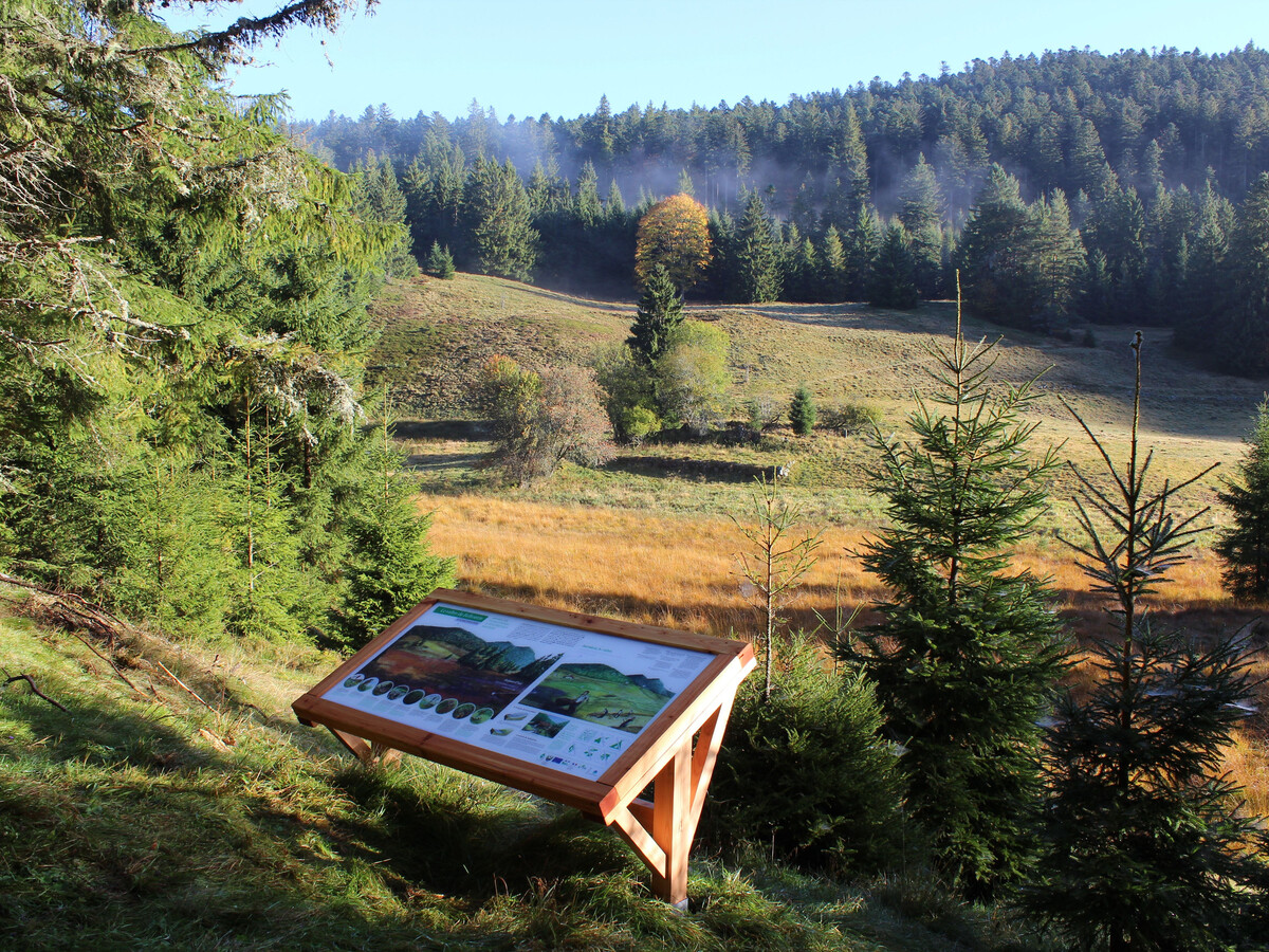 Gîte ferme rénovée Gérardmer, 4 pers, cheminée - Photo 28