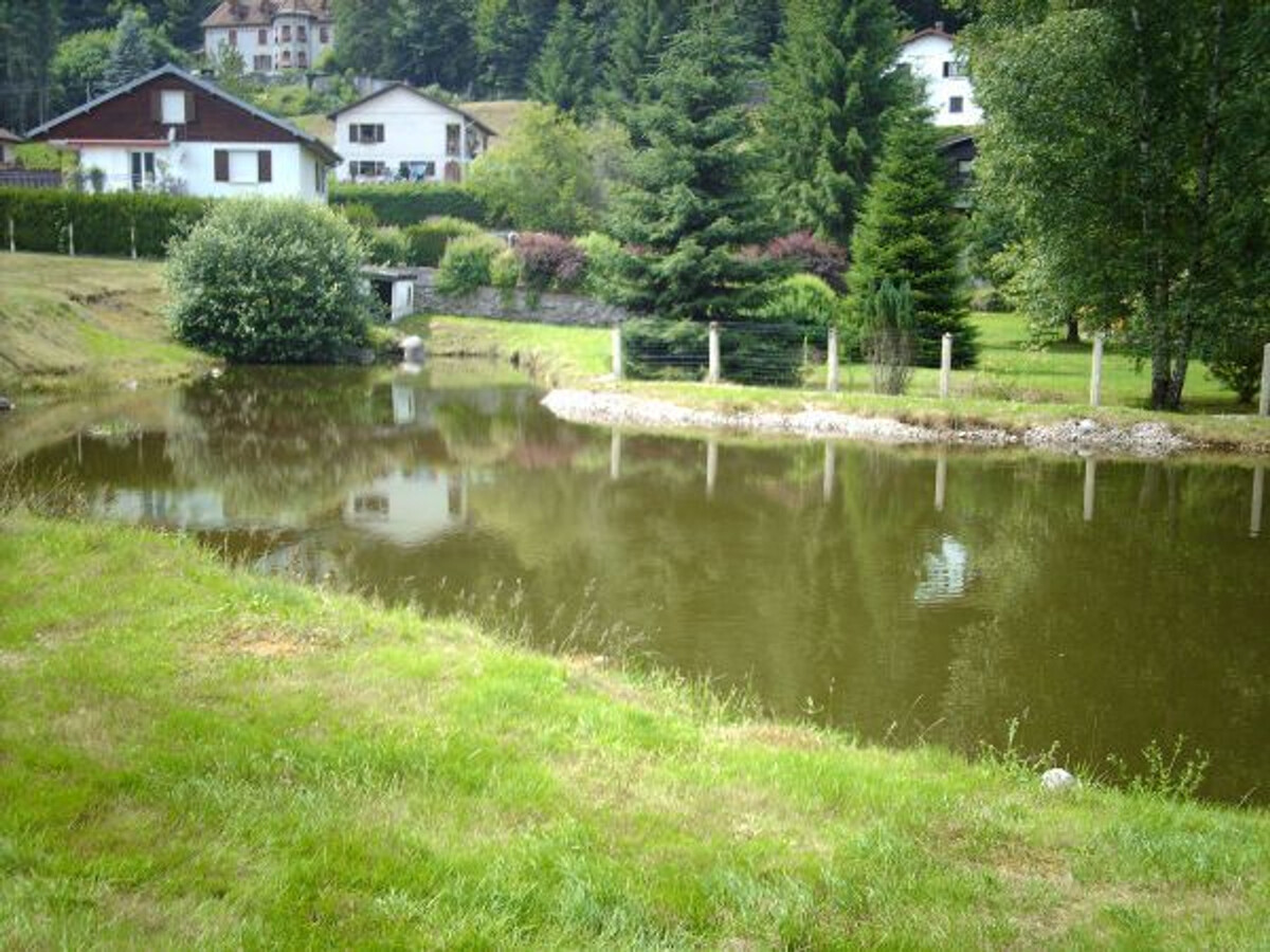 Gîte 6 pers. aux Vosges avec jeux et tennis de table - Photo 19