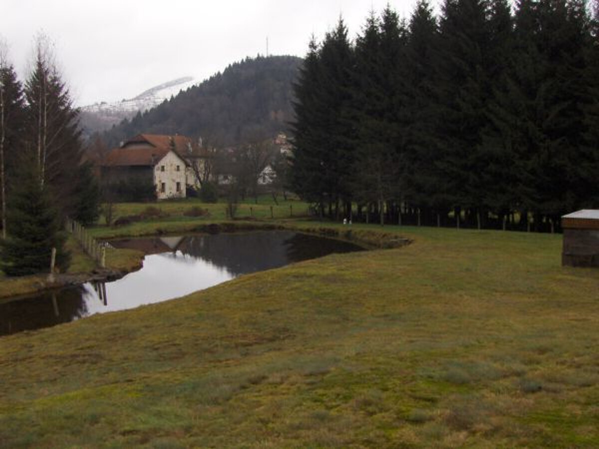 Gîte 6 pers. aux Vosges avec jeux et tennis de table - Photo 21