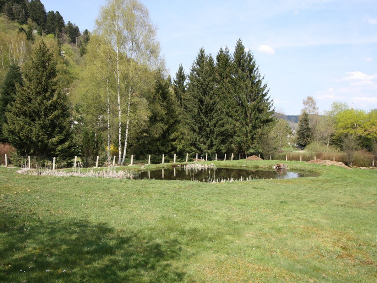 Gîte 6 pers. aux Vosges avec jeux et tennis de table - Photo 23