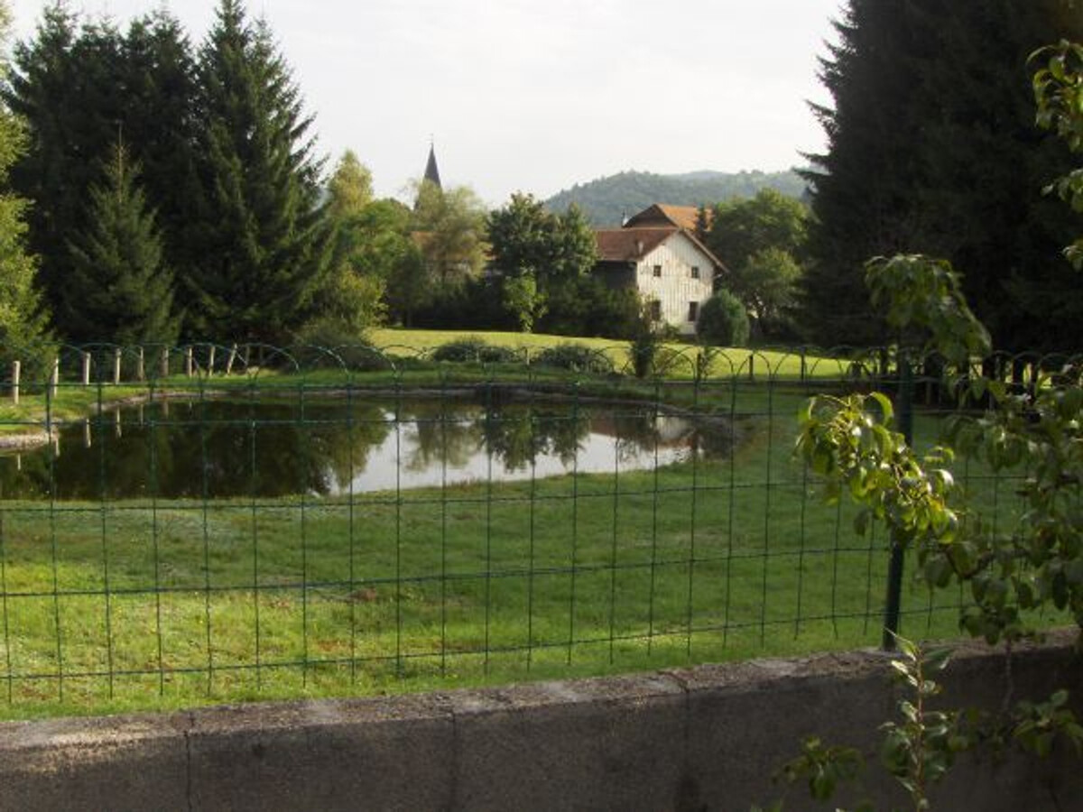Gîte 6 pers. aux Vosges avec jeux et tennis de table - Photo 24