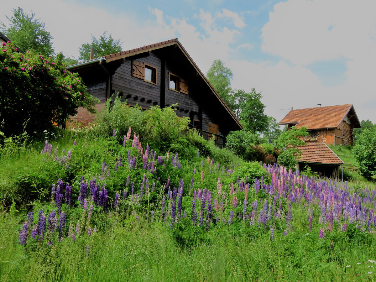 Chalet 90m² au Tholy : terrasse, verger et accès montagne - Photo 30