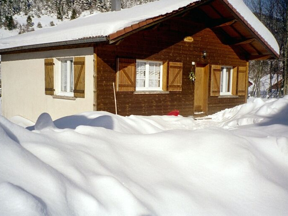 Chalet 4 pers. à La Bresse, 4 km des pistes - Photo 9