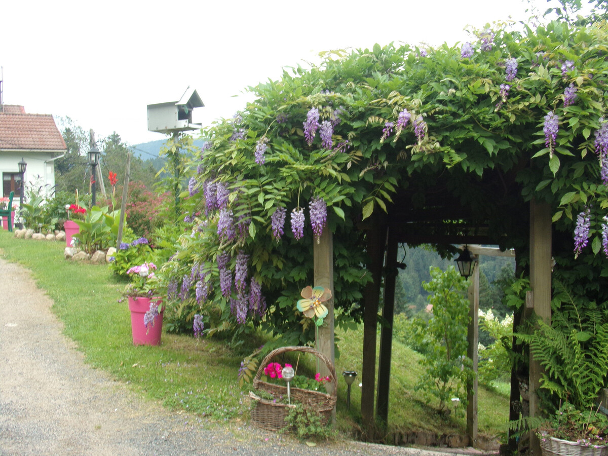 Gîte 2 pers. avec terrasse, garage moto à Gérardmer - Photo 16