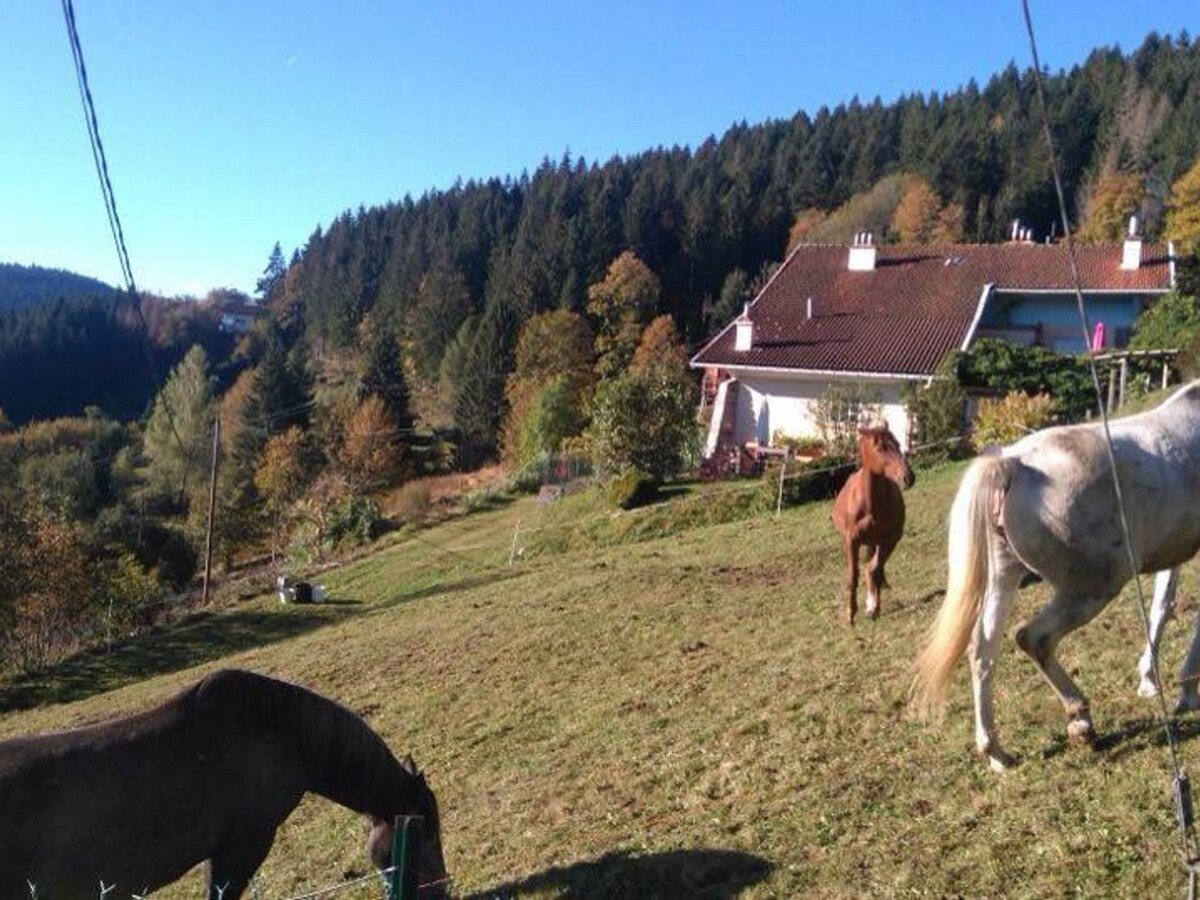 Gîte 2 pers. avec terrasse, garage moto à Gérardmer - Photo 23