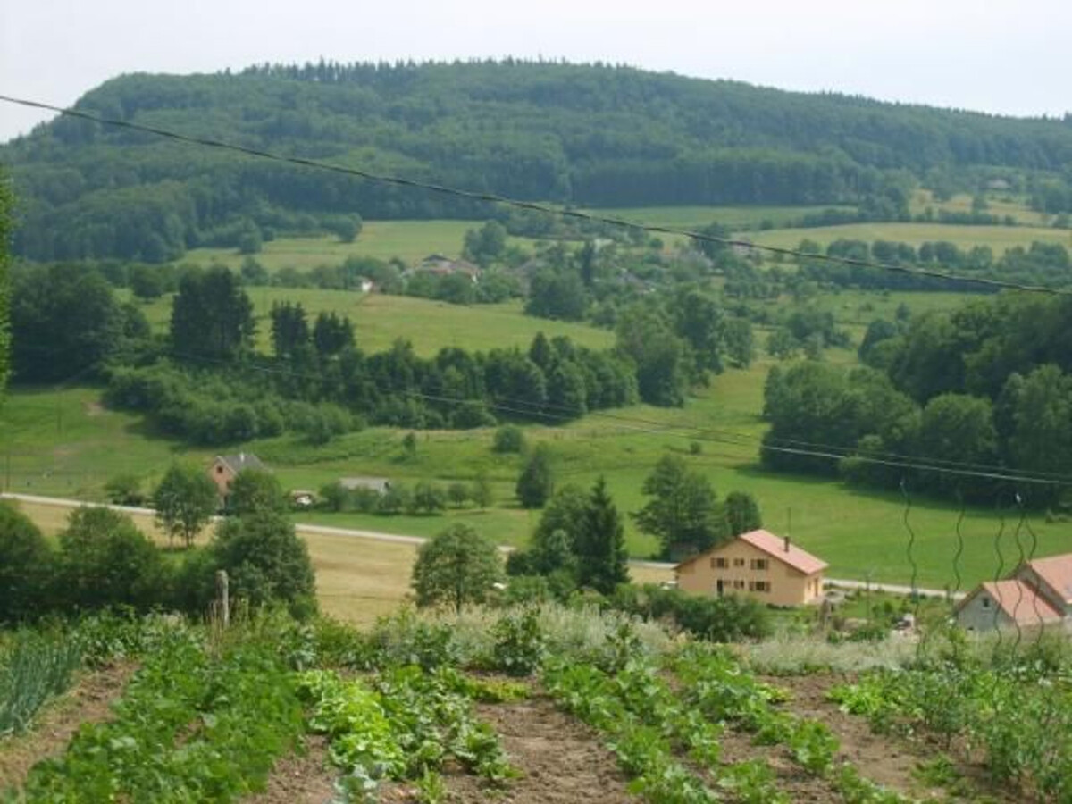 Gîte 10 personnes avec animaux de ferme au Val-d'Ajol - Photo 25