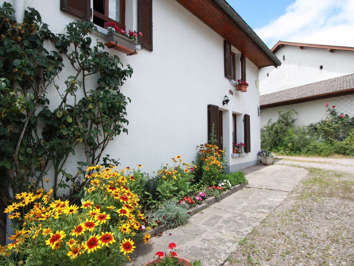 Gîte 10 personnes avec animaux de ferme au Val-d'Ajol - Photo 29