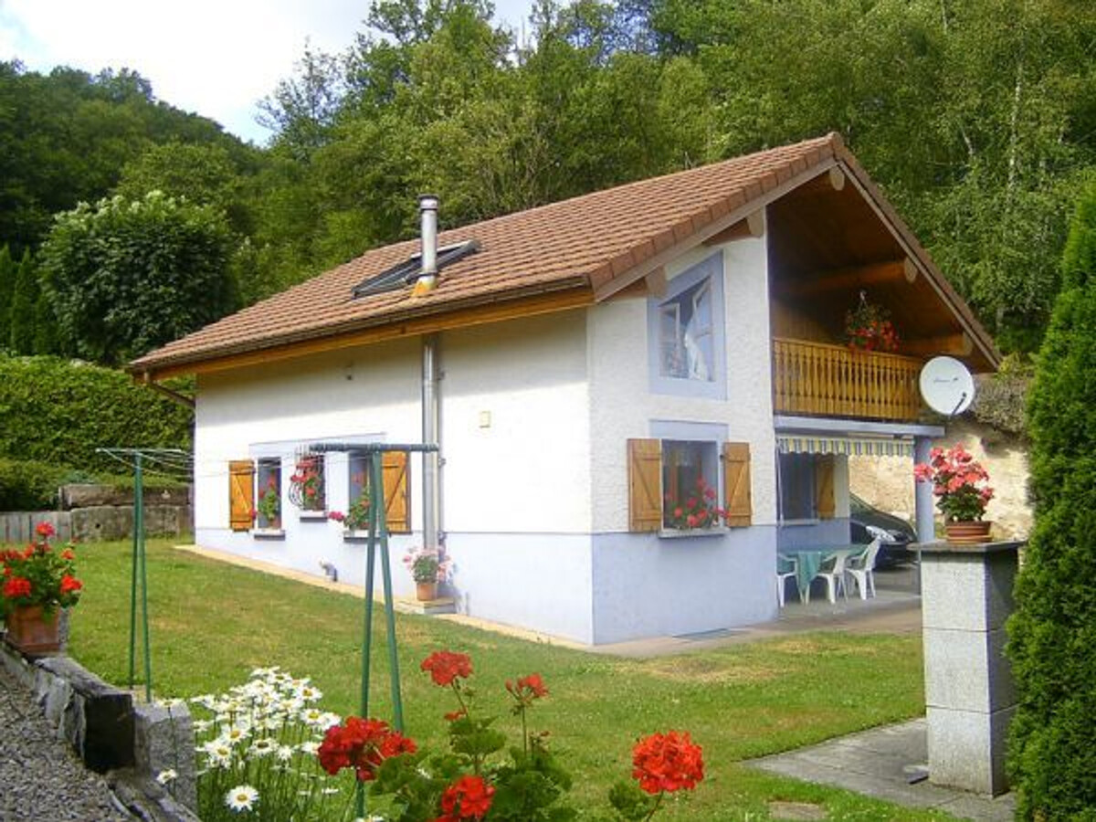 Gîte chalet 6 pers. à Ferdrupt, terrasse et accès montagne - Photo 1