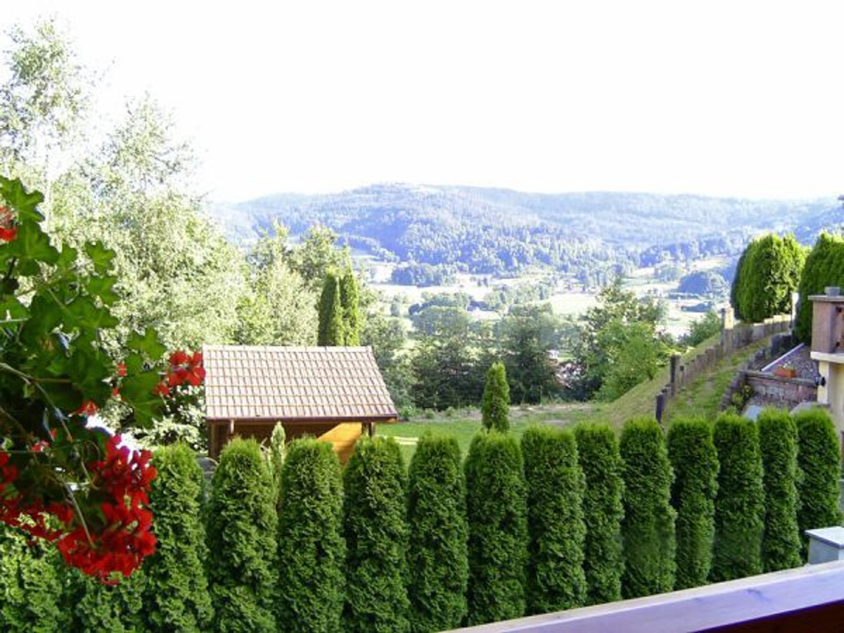 Gîte chalet 6 pers. à Ferdrupt, terrasse et accès montagne - Photo 9