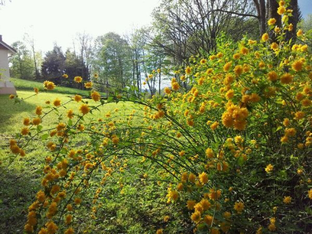 Gîte 6 pers. en forêt avec étang et accès sentiers - Photo 18