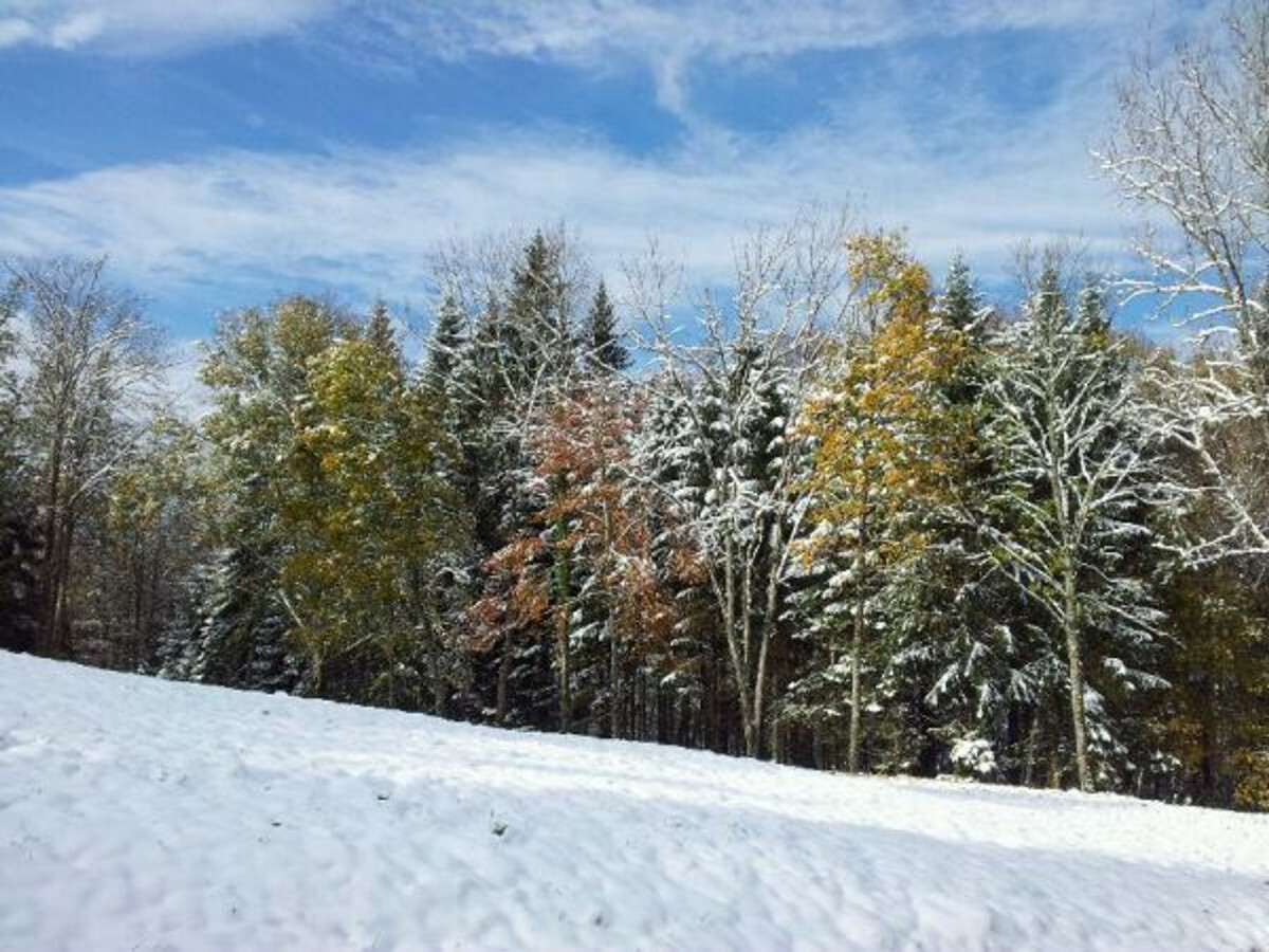 Gîte 6 pers. en forêt avec étang et accès sentiers - Photo 19