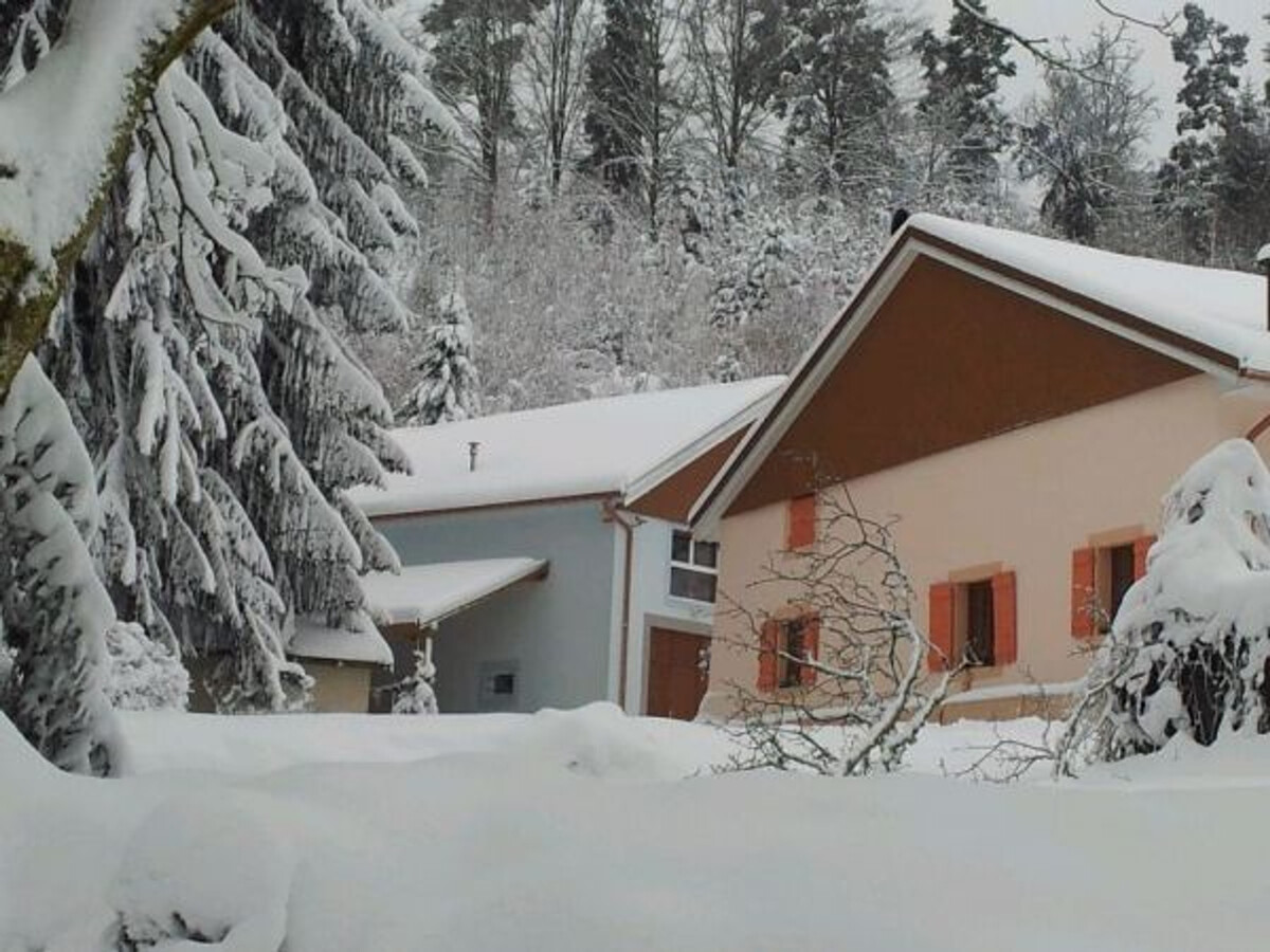 Gîte 6 pers. en forêt avec étang et accès sentiers - Photo 22