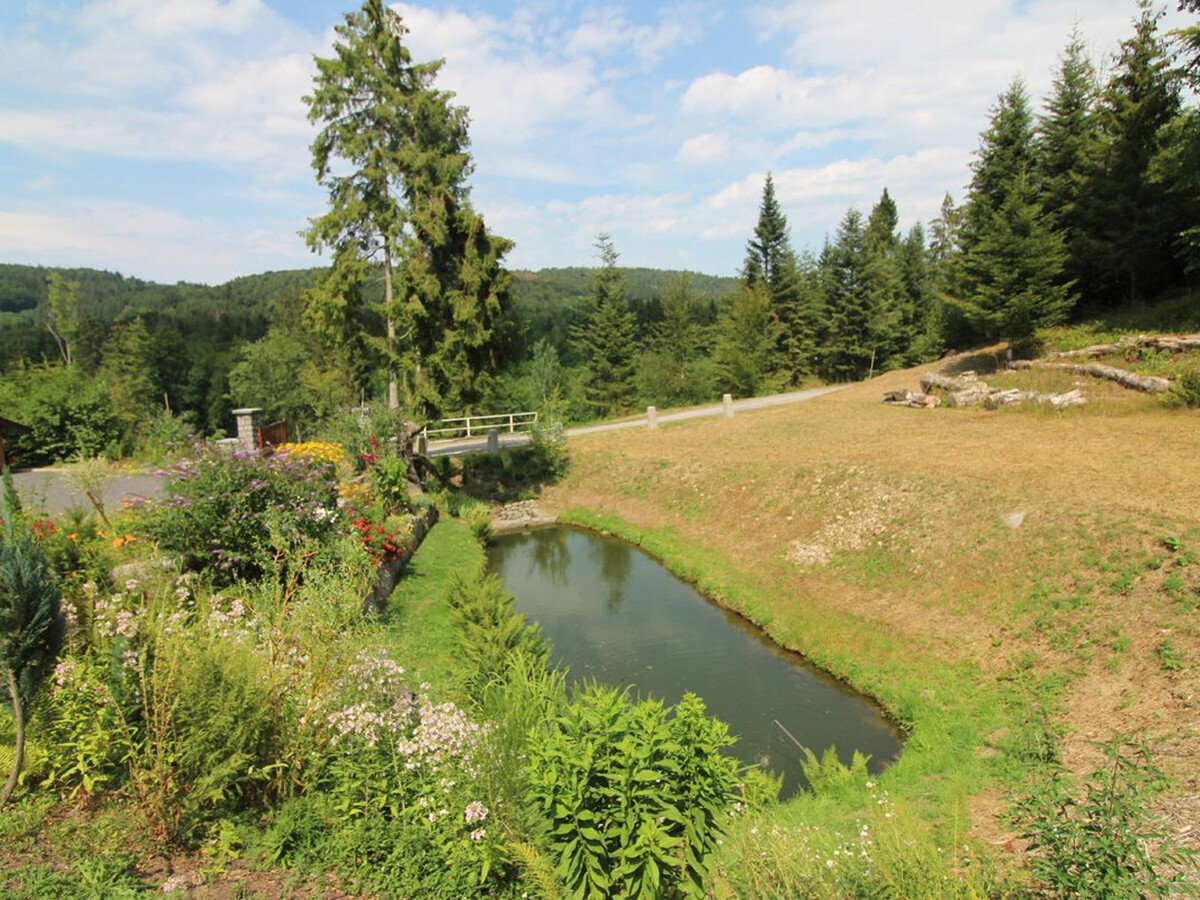 Gîte 6 pers. en forêt avec étang et accès sentiers - Photo 28