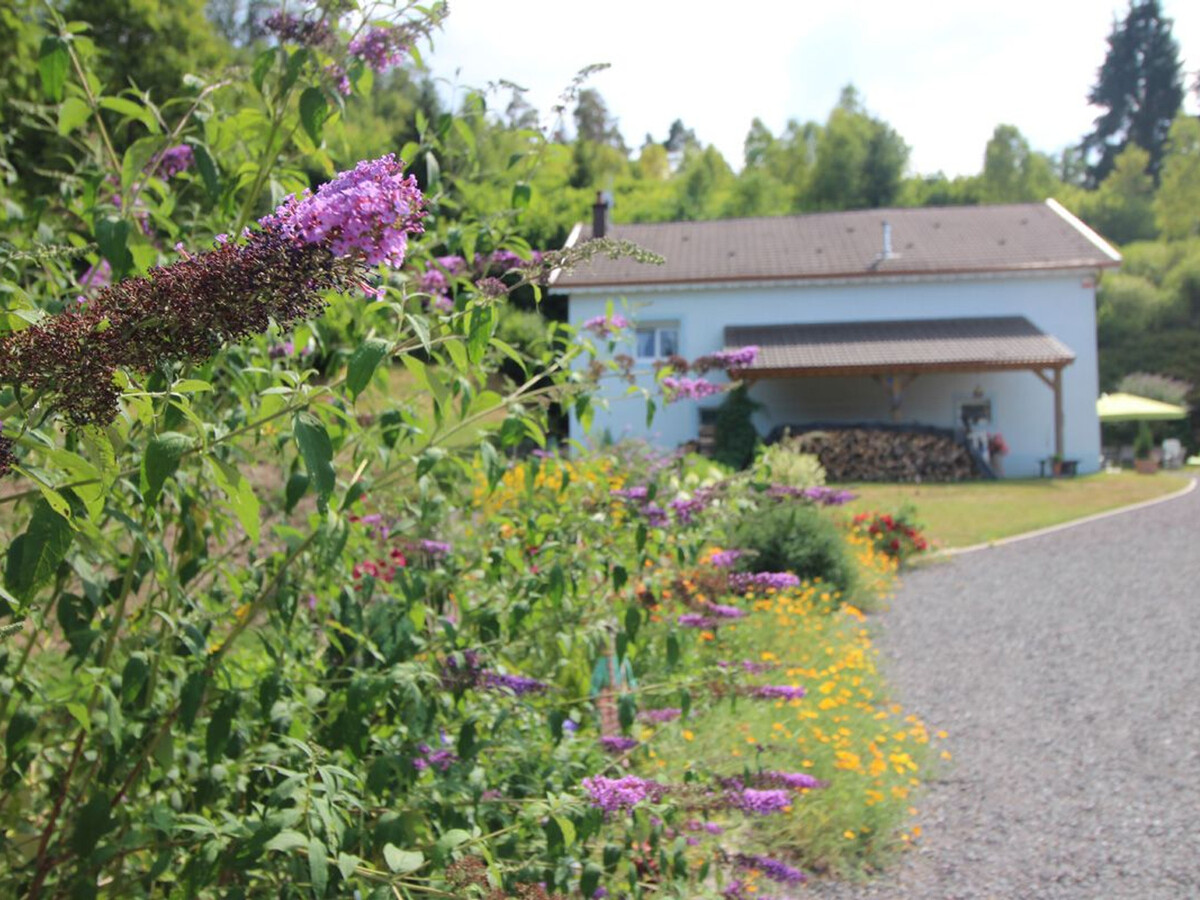 Gîte 6 pers. en forêt avec étang et accès sentiers - Photo 34