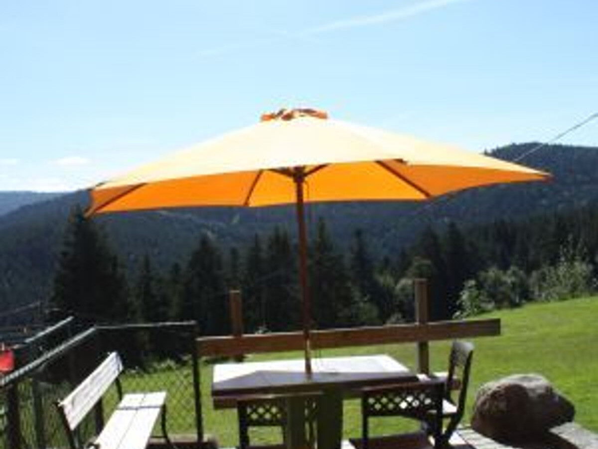 Gîte 2 pers. avec terrasse et vue vallée à Gérardmer - Photo 10