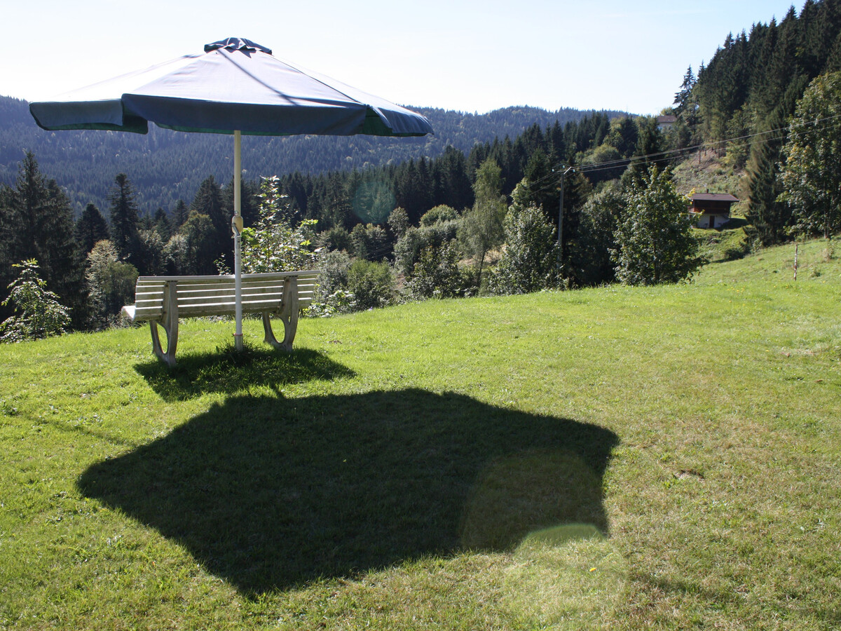 Gîte 2 pers. avec terrasse et vue vallée à Gérardmer - Photo 11