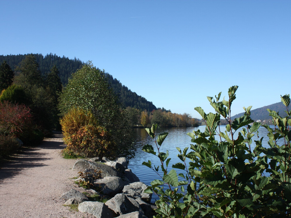 Gîte 2 pers. avec terrasse et vue vallée à Gérardmer - Photo 15