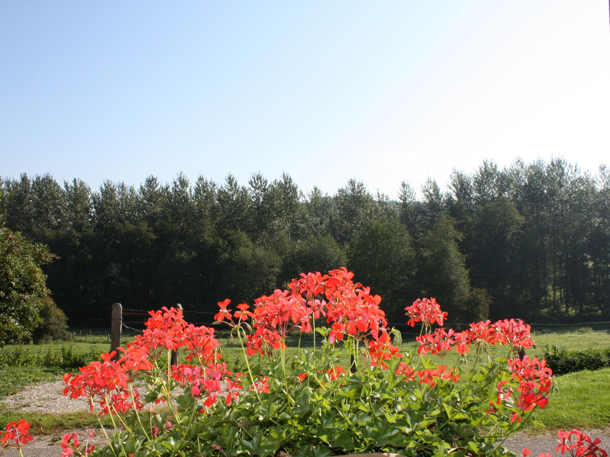 Gîte 4 pers. à Saint-Ouen-lès-Parey, terrasse et jardin clos - Photo 23