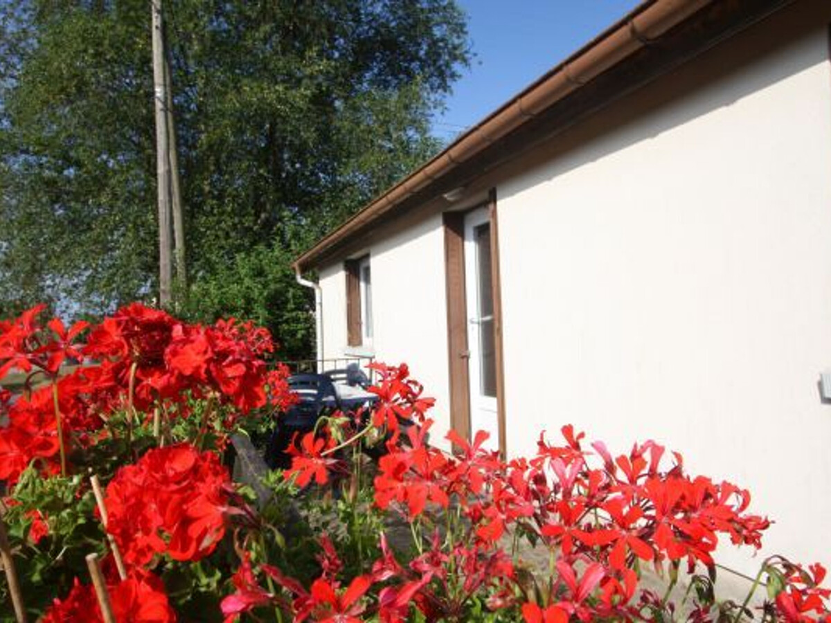 Gîte 3 personnes en forêt du Val-d'Ajol, 5 km Plombières - Photo 9