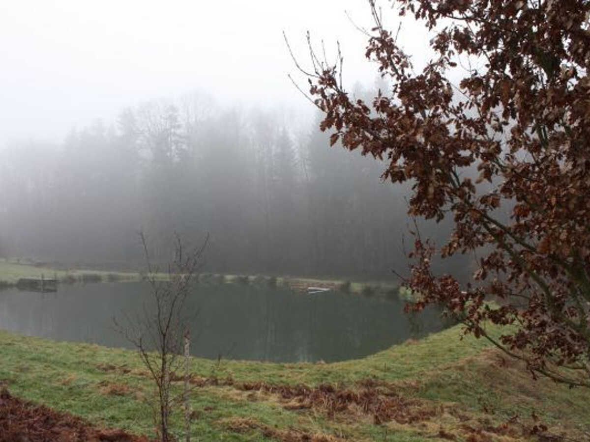 Gîte 3 personnes en forêt du Val-d'Ajol, 5 km Plombières - Photo 12
