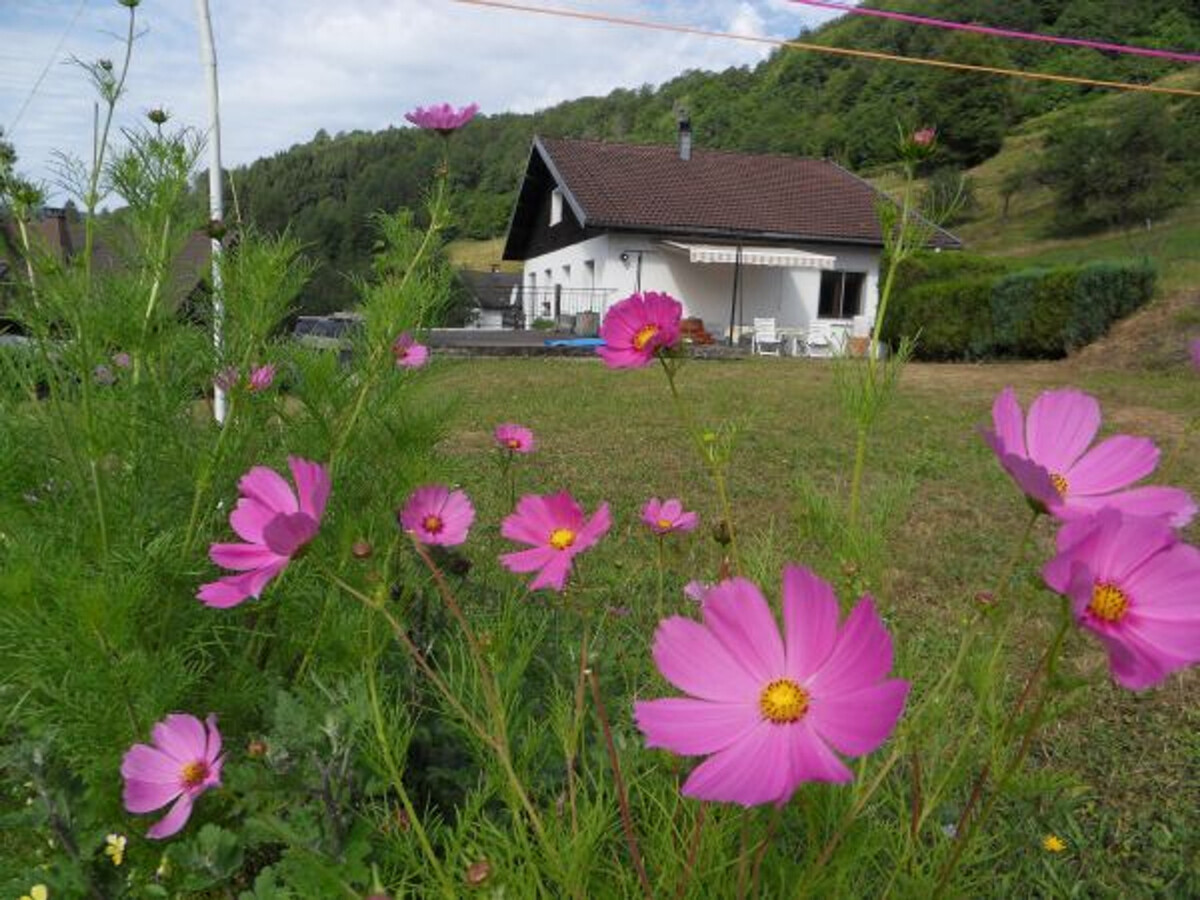 Gîte 3 personnes à La Bresse - Accès direct voie verte - Photo 1
