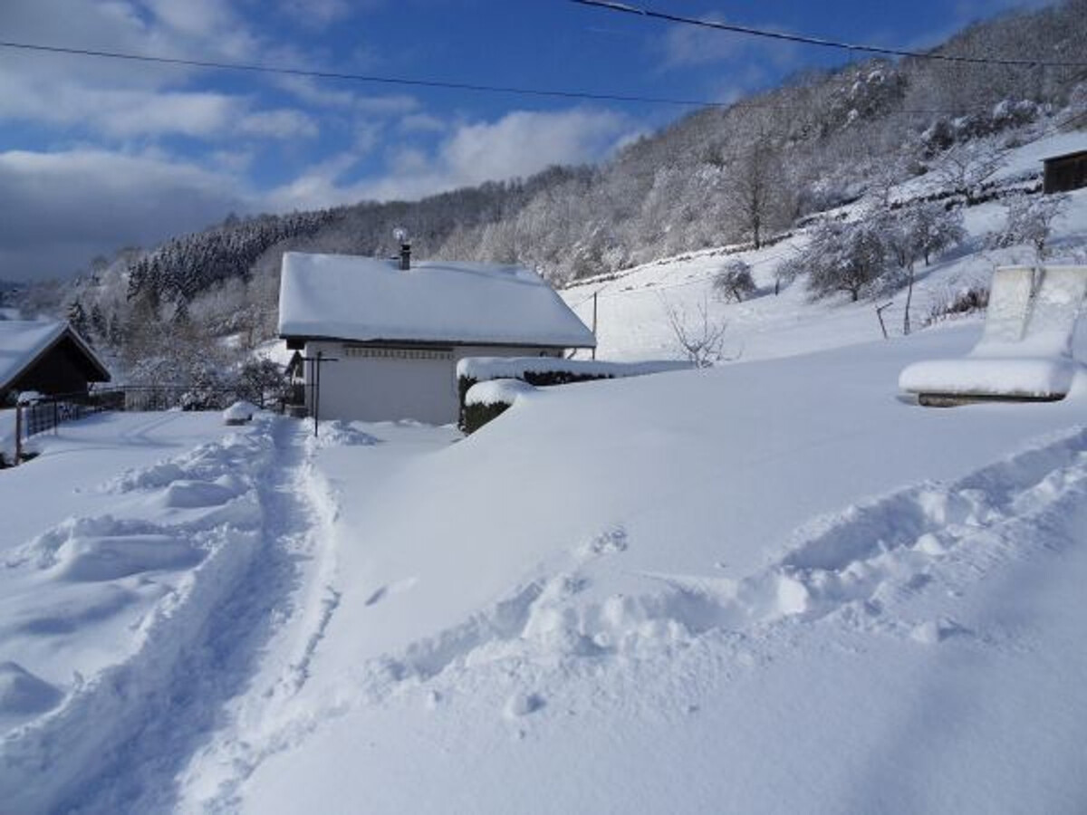 Gîte 3 personnes à La Bresse - Accès direct voie verte - Photo 21