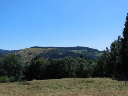 Gîte chaleureux avec terrasse, proche des activités touristiques et nature des Vosges - Photo 32