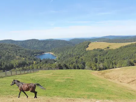 Gîte chaleureux avec terrasse, proche des activités touristiques et nature des Vosges - Photo 33