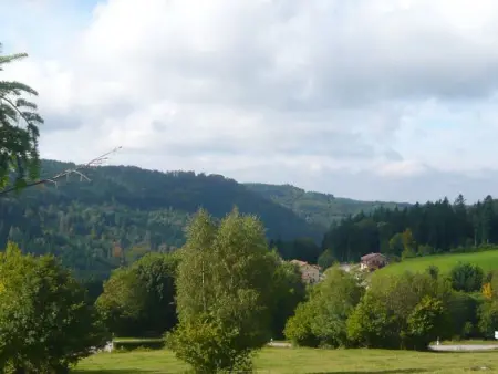 Les Campanules, gîte indépendant avec cheminée au Tholy - Photo 20