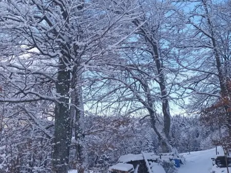 Les Campanules, gîte indépendant avec cheminée au Tholy - Photo 28