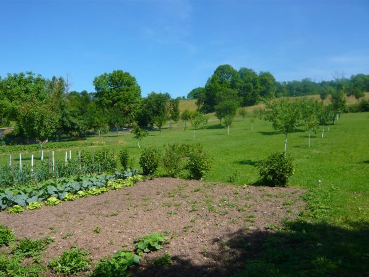 Gîte de l'Étoile - Billard, poêle à bois, verger - Photo 4