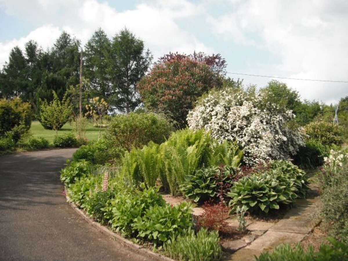 Gîte 4 pers. au cœur des Vosges, 2,5 km thermes - Photo 11