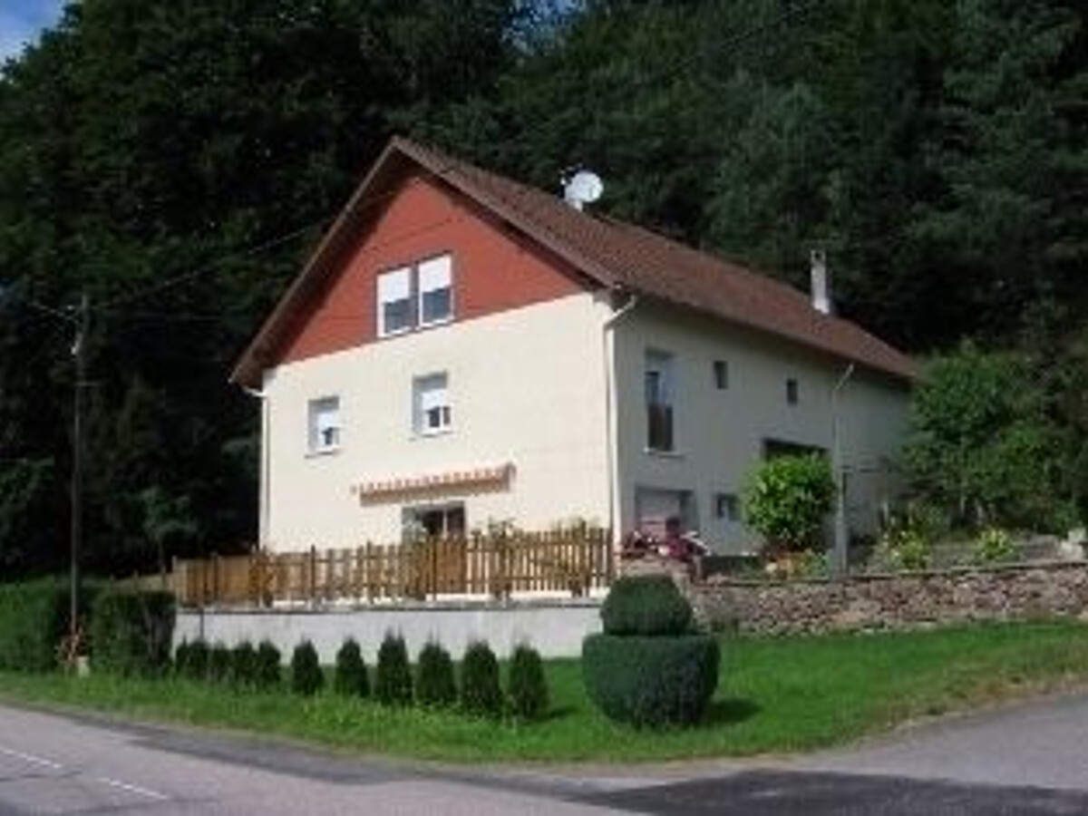 Gîte 8 pers. Alsace, forêt & ski à 20 km, cheminée - Photo 23