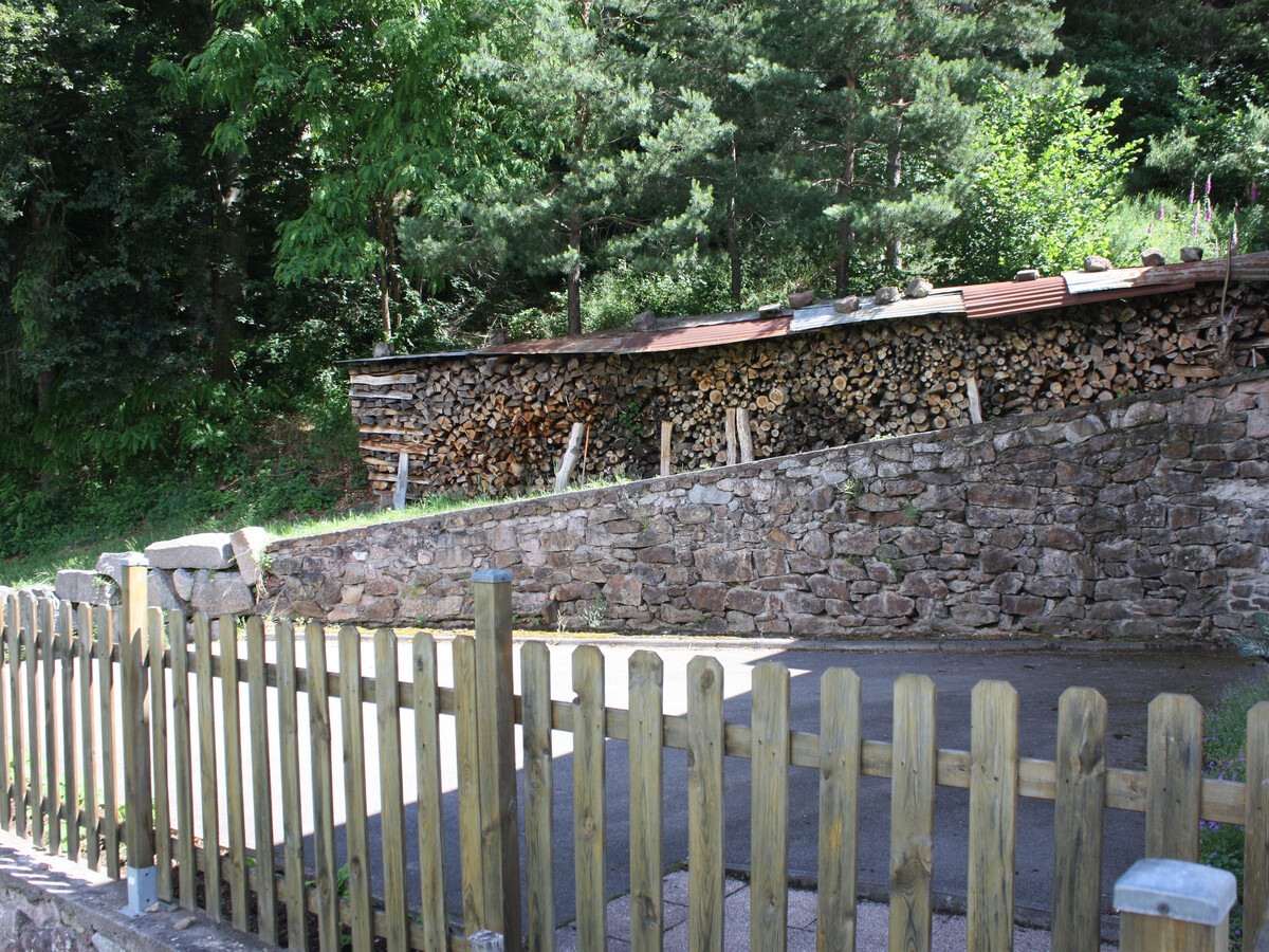 Gîte 8 pers. Alsace, forêt & ski à 20 km, cheminée - Photo 29