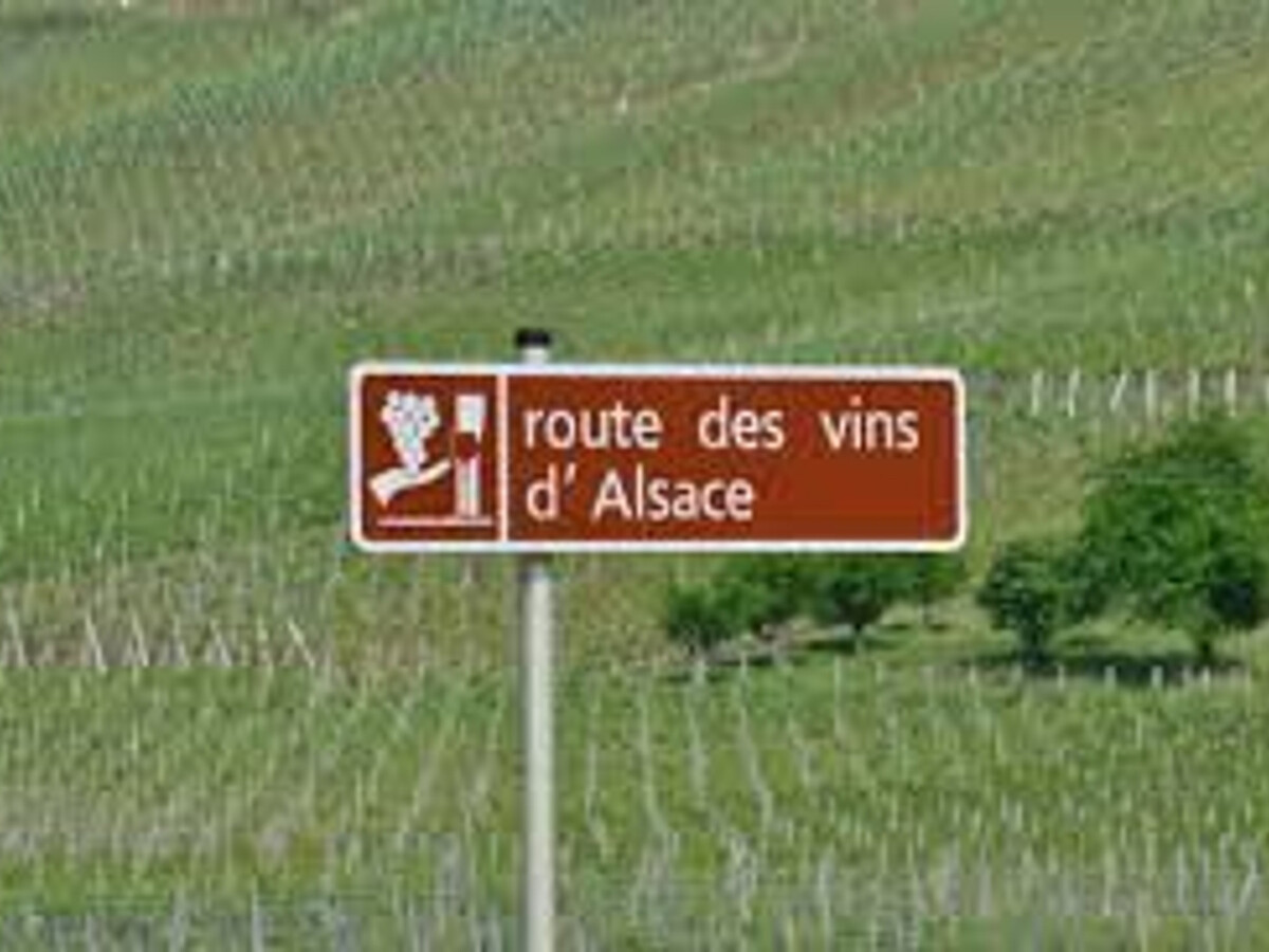 Gîte 8 pers. Alsace, forêt & ski à 20 km, cheminée - Photo 32
