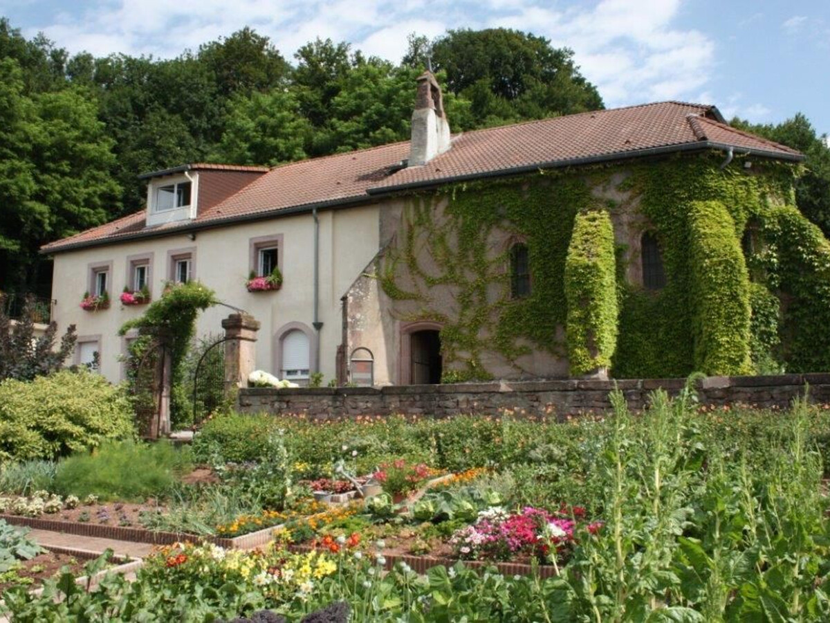 Gîte 62 m² maison 1525, terrasse sud, forêt proche - Photo 3