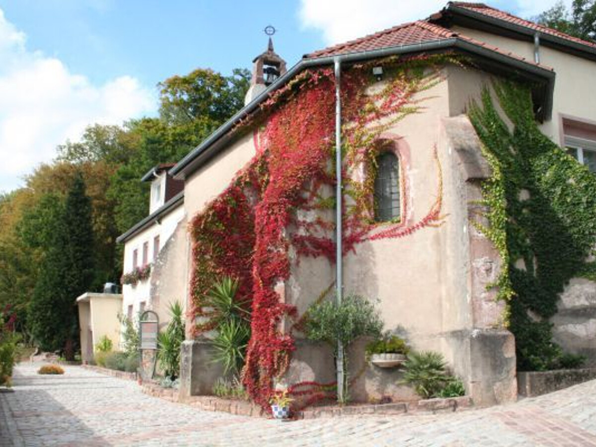 Gîte 62 m² maison 1525, terrasse sud, forêt proche - Photo 17
